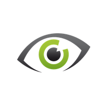 vision